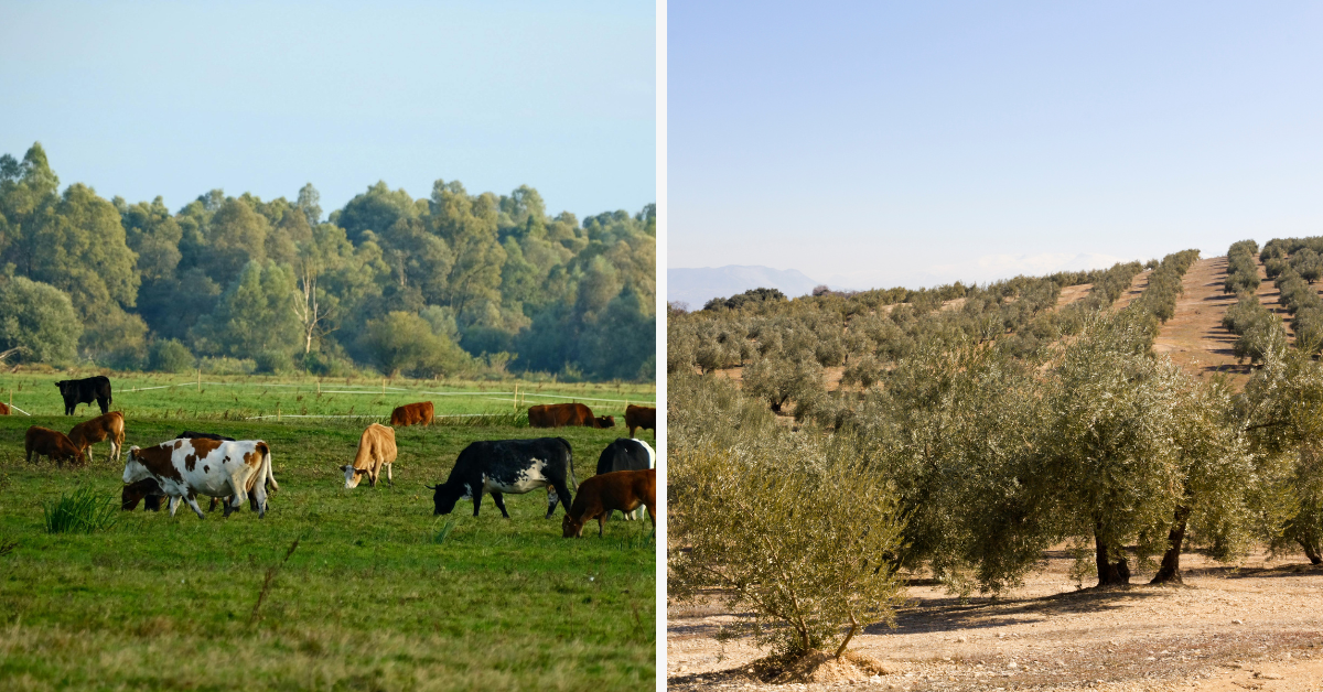 Deux territoires, deux réalités.
