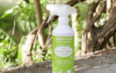 Le savon noir au jardin : un geste simple pour le feuillage