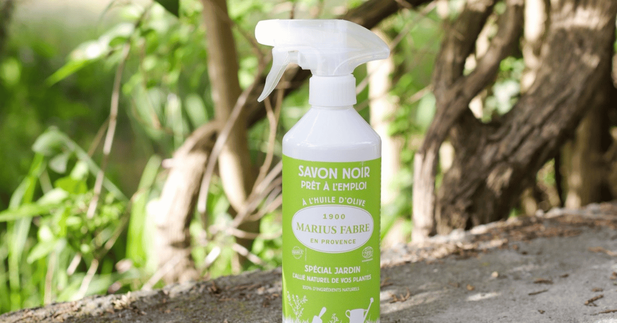 Savon noir prêt-à-l'emploi pour l'entretien du jardin